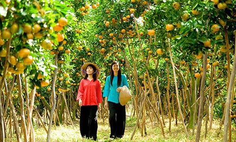 Tháng 9 đừng lỡ hẹn với miền Tây mùa nước nổi