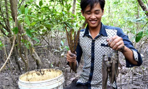 Thòi lòi - đặc sản vùng Đất Mũi