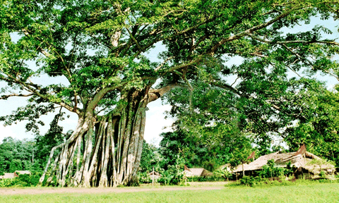 Di sản cách mạng