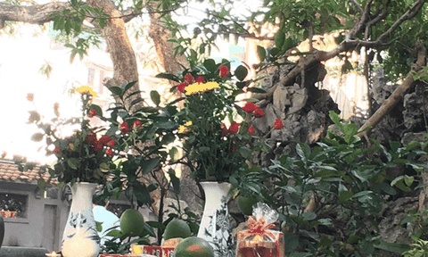 Ngôi chùa tâm linh, yên tĩnh và độc đáo