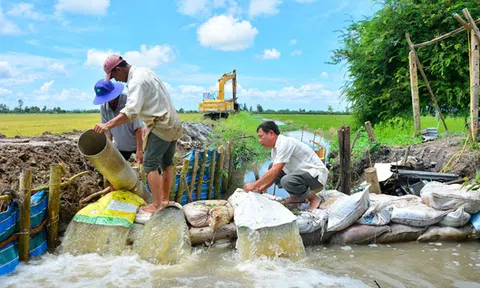 Kiên Giang: Dốc toàn lực cứu lúa thu đông trước lũ