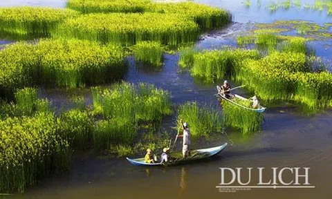 Quê mình mùa nước nổi