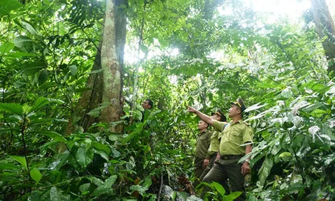 Bài học về quản lý, bảo vệ rừng đặc dụng Na Hang