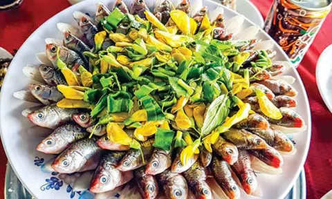 Ốc đảo thiên nhiên Gáo Giồng