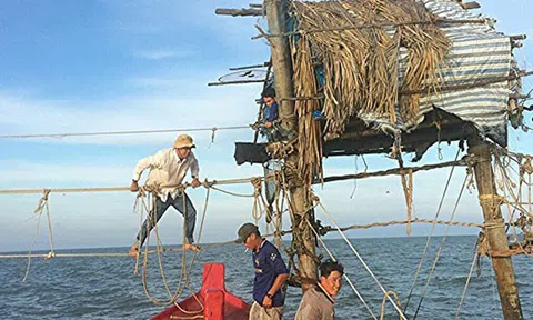 Những “tổ chim” bên đáy hàng khơi
