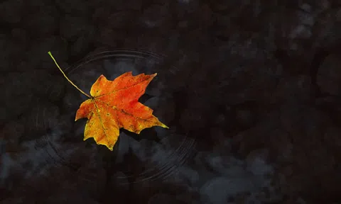 Vĩnh biệt nhà thơ Đinh Nam Khương