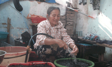 Về thăm làng chài cổ “Nước mắm Nam Ô, cá rô xuân thiều”