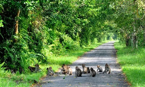 VQG U Minh Thượng, nguồn lực phát triển du lịch