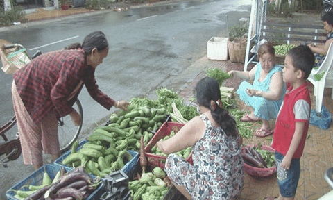 Thơm thảo “chợ rau miễn phí” cho người nghèo 