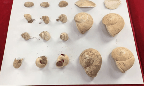 Cần lập hồ sơ xếp hạng di tích để bảo tồn