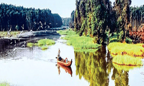 Ốc đảo thiên nhiên Gáo Giồng