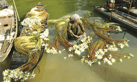 Văn hóa ẩm thực - kết nối du lịch