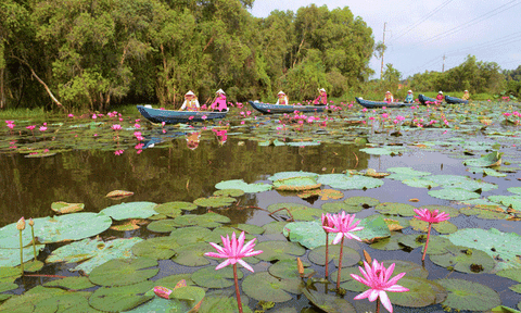 Làng nổi Tân Lập “khoác” áo mới