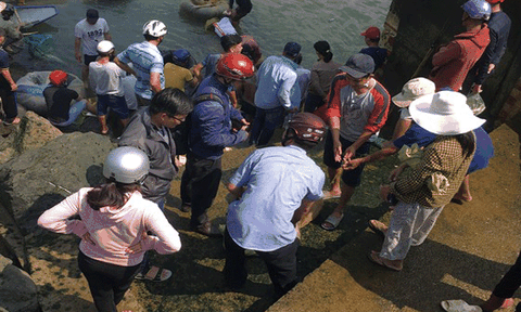 Hàng trăm người dân đổ về hồ Trị An săn “lộc trời” 