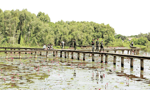 Khám phá những điều thú vị tại Long An