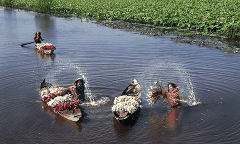 Làng nghề ở “đệ nhất cù lao” Nam Bộ