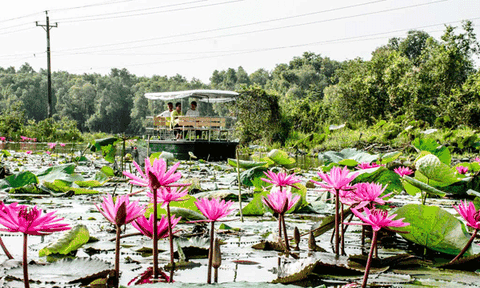 Khám phá Đồng Tháp Mười mùa nước nổi 