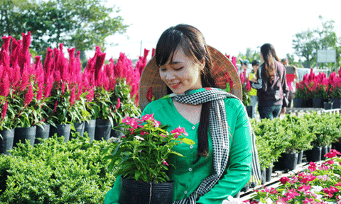 Nông dân làng hoa Sa Đéc bỏ tiền túi làm du lịch 