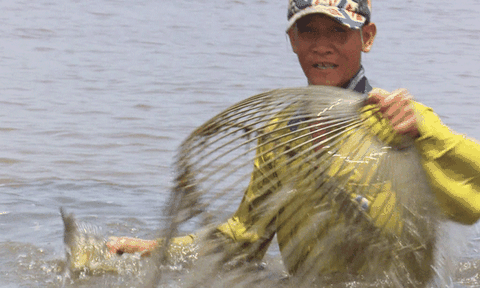 Độc đáo nghề đẩy côn bắt cá mùa lũ 