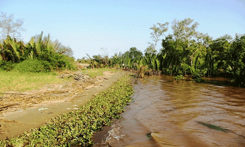 Chuyện xưa ở đất Gò Công