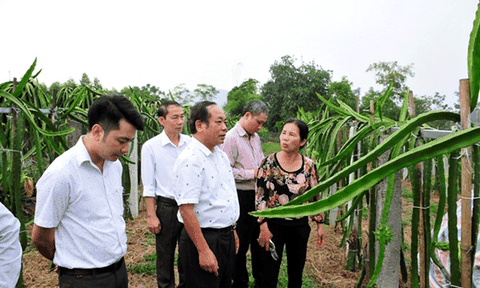 Xây dựng thương hiệu nông sản sạch có dễ?