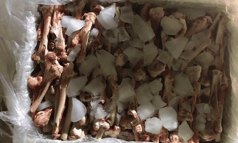 Nghệ An: Phát hiện hơn 3 tạ xương dê trên xe khách