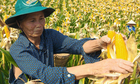 Nghĩa Đồng hướng mục tiêu phát triển nhanh, bền vững