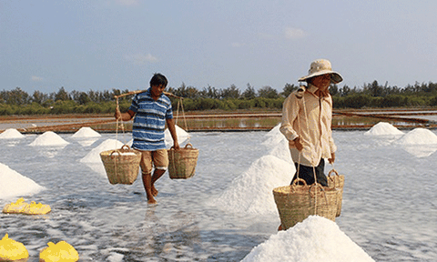 Nghề muối truyền thống, nét đặc trưng vùng miền