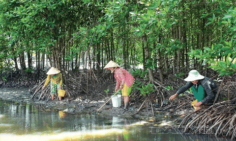 Theo chân người đi câu lịch
