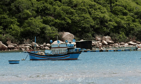 Ninh Thuận đưa ngành du lịch phát triển xứng tầm