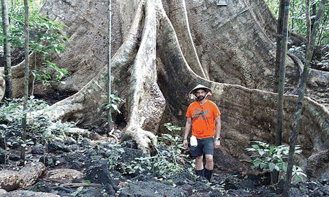 Khám phá rừng đêm ở Cát Tiên