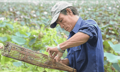 Độc đáo nghề "thổi nước" vào hang bắt chuột đồng ở miền Tây