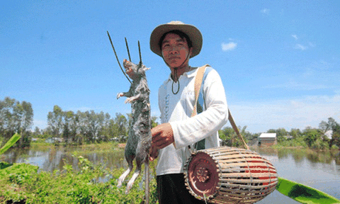 Độc đáo chợ chuột độc nhất vô nhị ở miền Tây