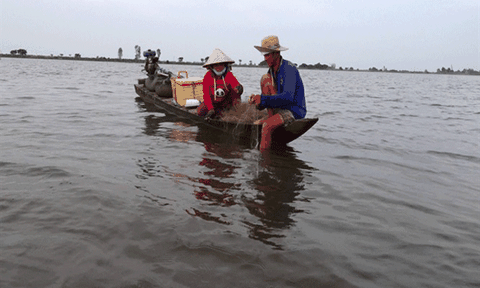 Người dân miền Tây "hốt bạc" mùa lũ về