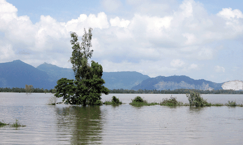 Rong chơi theo mùa nước nổi