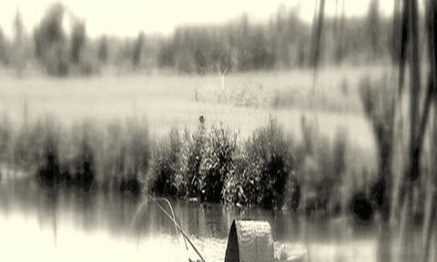 Một khoảng trời thu trong thơ Nguyễn Khuyến