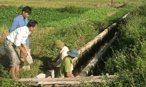 Long Thành: Khó khăn lớn nhất vẫn là kênh mương, thuỷ lợi