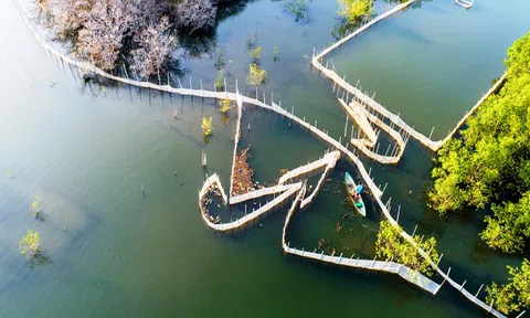 Lạ lùng Rú Chá mùa lá rụng 