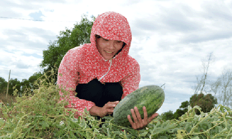 Xây dựng nông thôn mới ở Lưu Sơn: Đôi điều ghi nhận!