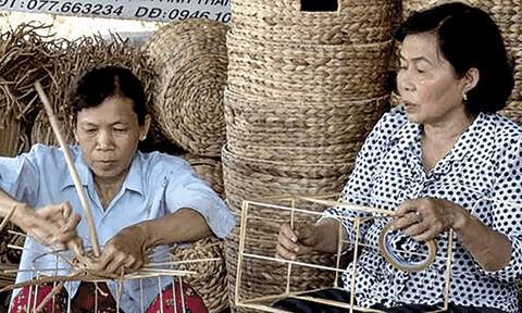 Kiên Giang: Ở xứ bưng biền làm giàu bằng thứ cả làng vứt đi