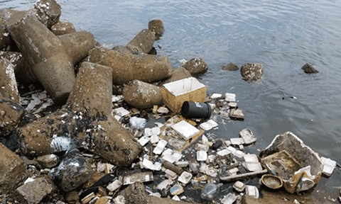 Phú Quốc phấn đấu là hòn đảo không rác thải nhựa