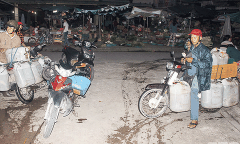 Cá đồng về nhiều, đội đèn họp chợ cả đêm