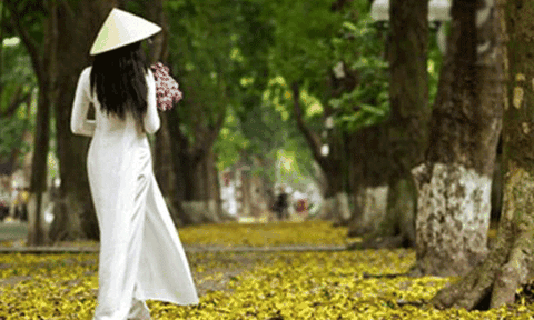 Chùm thơ về mùa thu của Nguyễn Ngọc Đấu