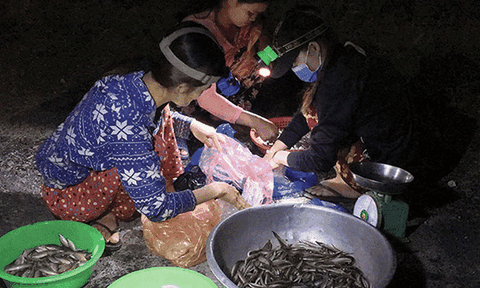 Đất và người miền Tây: “Chợ ma” mùa nước nổi