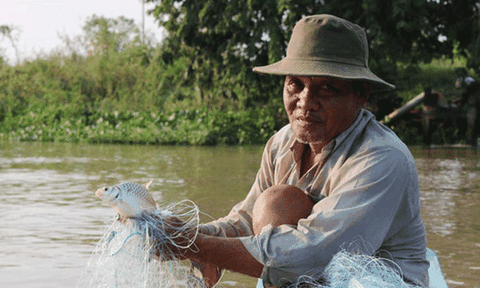 Đua nhau "hứng" cá đồng lũ lượt từ ruộng rút xuống kênh