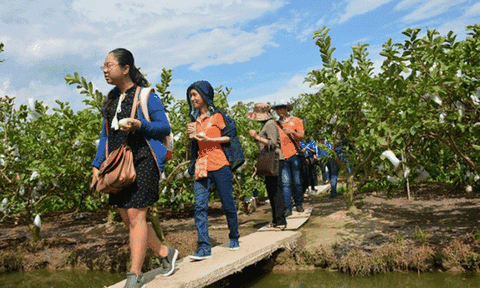Cần Thơ: Tăng cường công tác quản lý Nhà nước về du lịch