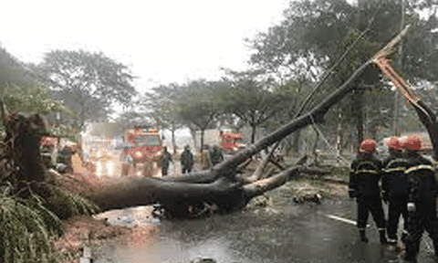 Bão Usagi càn quét nhiều tỉnh thành phía Nam