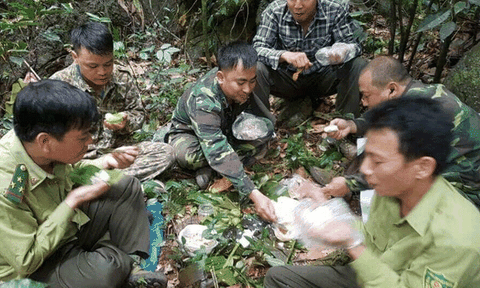 Gian nan cuộc chiến giữ rừng đặc dụng Phong Quang