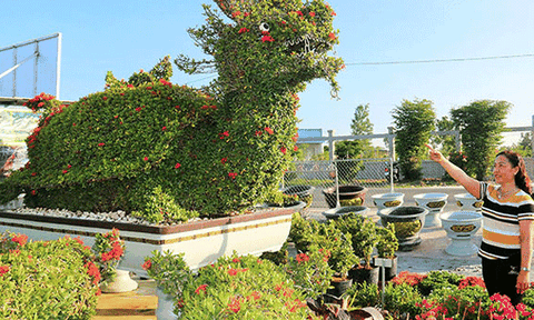 Vườn kiểng thú lớn bậc nhất ở Cần Thơ