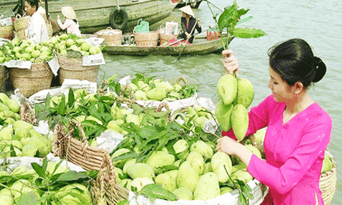 “Phượt” chợ nổi Cái Răng